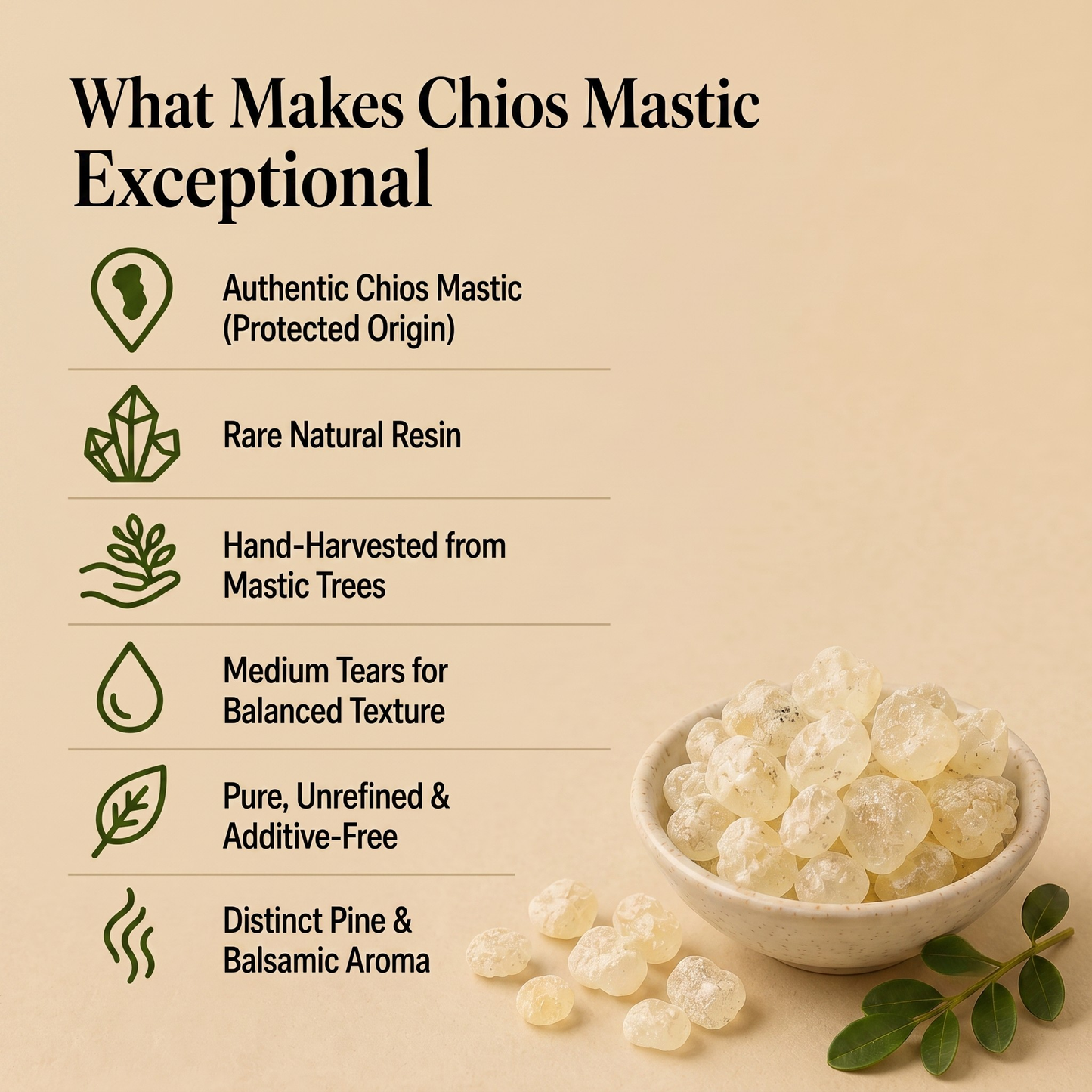 Greek Mastic Gum (Chios Mastiha) – Medium Tears