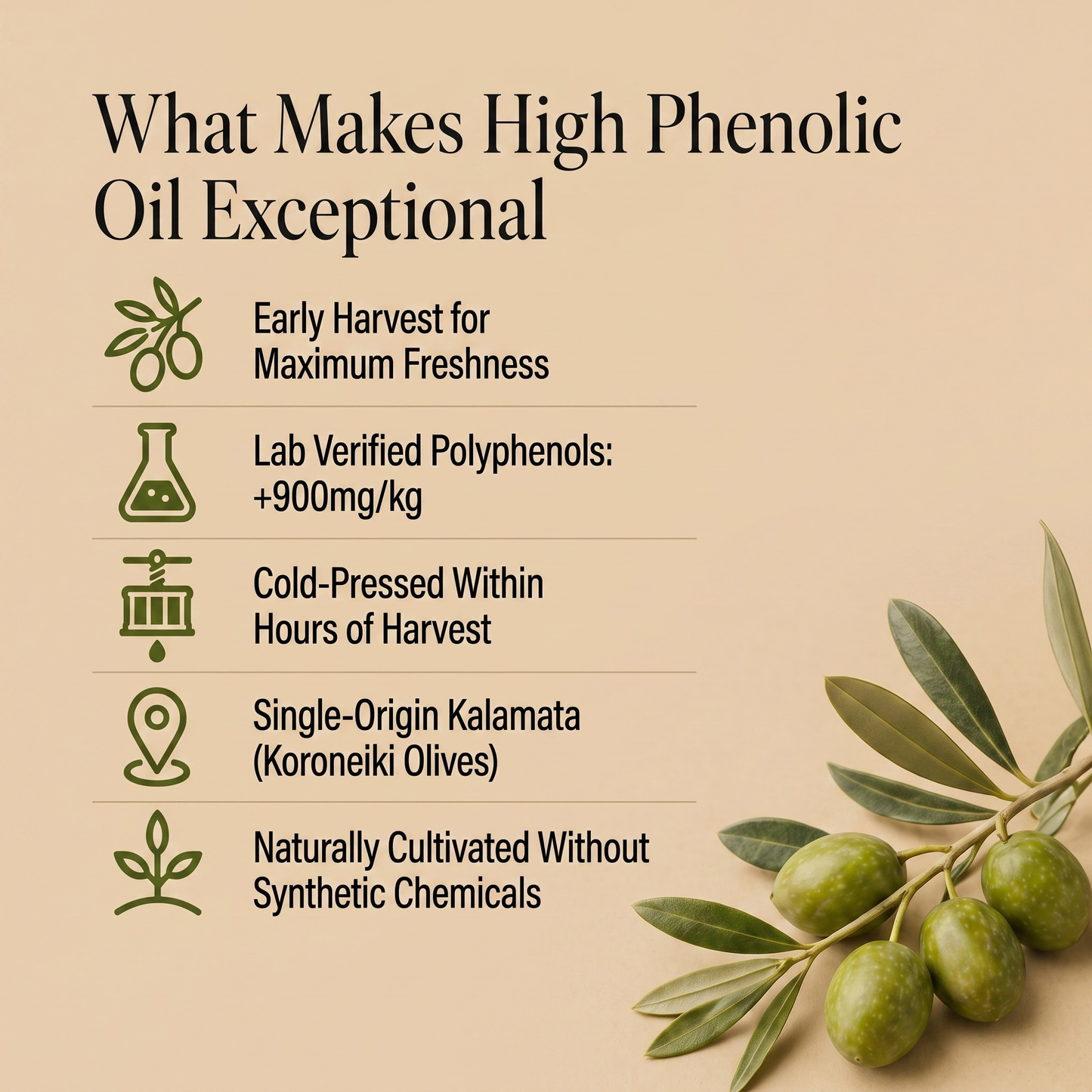 High Phenolic Greek Early Harvest Extra Virgin Olive Oil 500ml