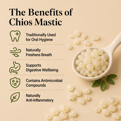 Greek Mastic Gum (Chios Mastiha) – Medium Tears